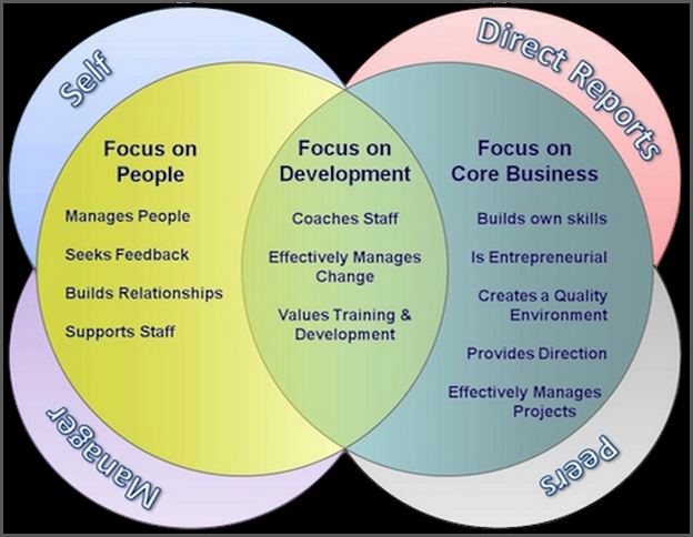 360 Degree Feedback Tool