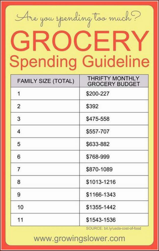 Average Grocery Bill For 1 Person