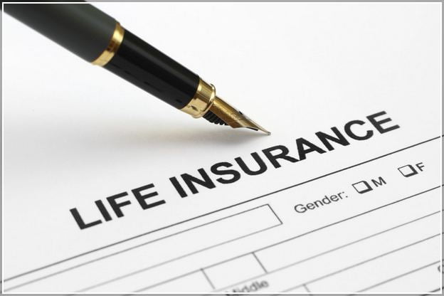 How Does Gerber Whole Life Insurance Work