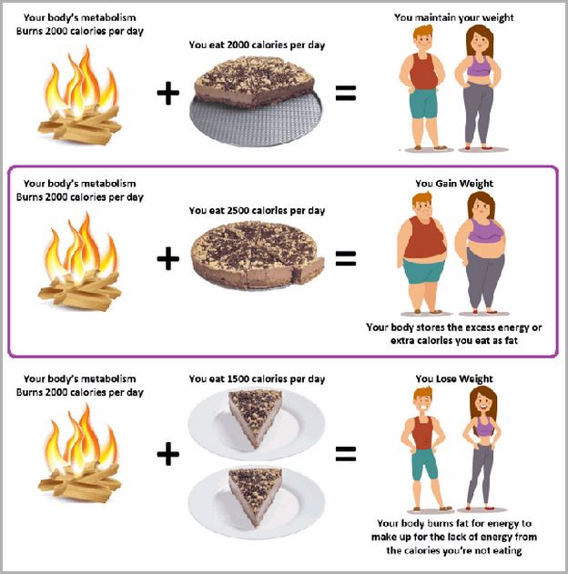 How Long Does Not Eating Take To Lose Weight