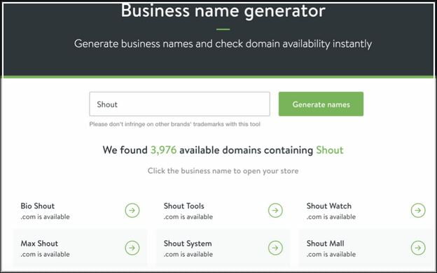 Shopify Business Name Generator Tool