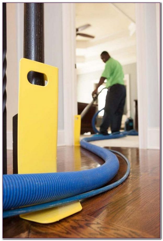 Zerorez Carpet Cleaning Coupons Atlanta